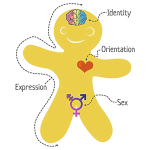 Cisgender | The Daily Omnivore