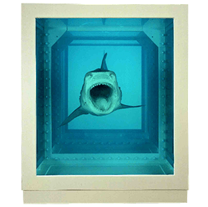 hirst shark front