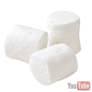 marshmallow test