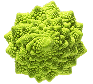 romanesco broccoli fractal
