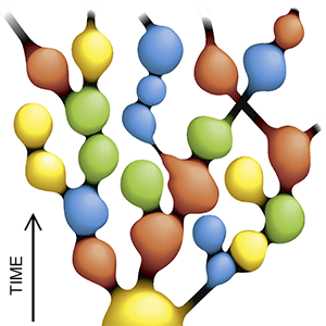 branching multiverse