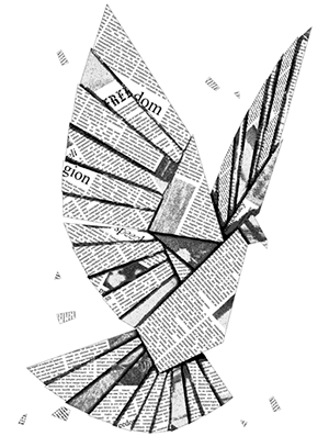 freedom of the press freedom of the press