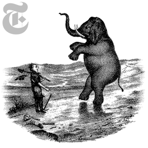 seeing the elephant seeing the elephant