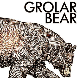 grolar bear