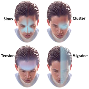 Headache | The Daily Omnivore