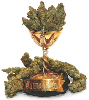 Cannabis Cup Cannabis Cup