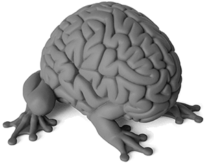 emilio garcia emilio garcia