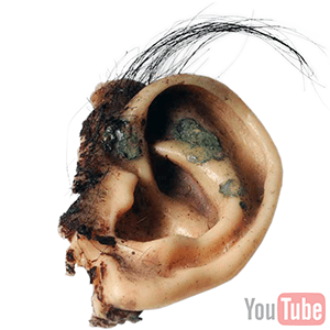 ear