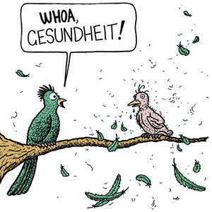 gesundheit by tony Zuvela