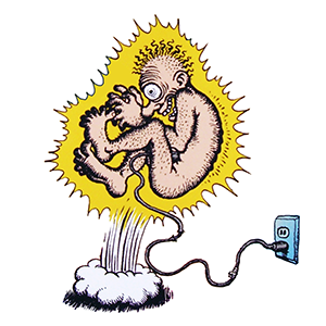 Brain Zap | The Daily Omnivore