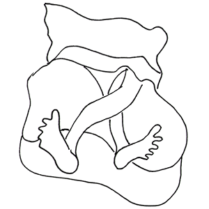 jimmy legs jimmy legs