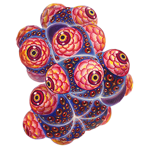 spirit molecule by alex grey