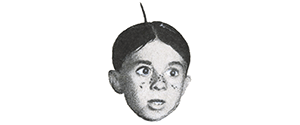 alfalfa