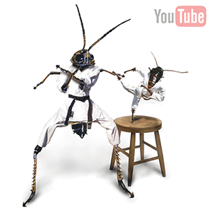 insect fighting insect fighting