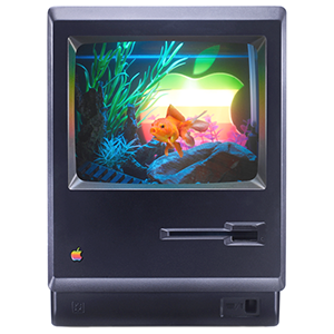 macquarium by dave daranjo