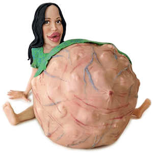 octomom by Liz Lomax