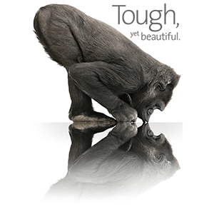gorilla glass
