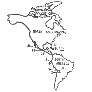 Tollmanns hypothetical bolide
