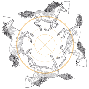 adaption by laura edelbacher