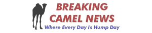 Camel News