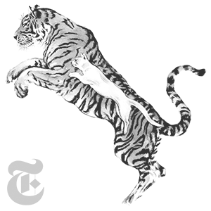 cat by melody newcomb