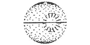 Death Star Death Star