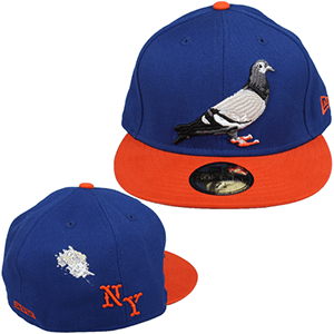 NY Pigeons