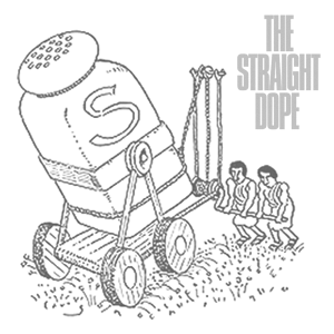 salting the earth by slug signorino