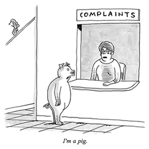 complaints