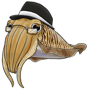 cuttlefish by naeomi