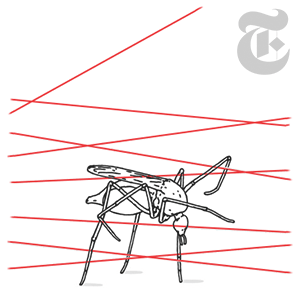 mosquito destruction by mr bingo