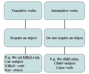 Transitivity | The Daily Omnivore