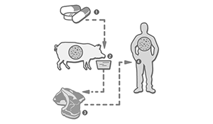 antibiotics for agriculture