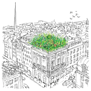 Urban Farm Dublin Urban Farm Dublin