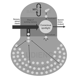 memory prediction theater