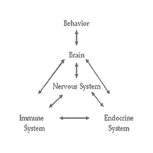 psychoneuroimmunology