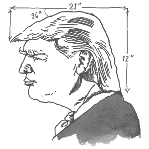 Trump by Barry Blitt
