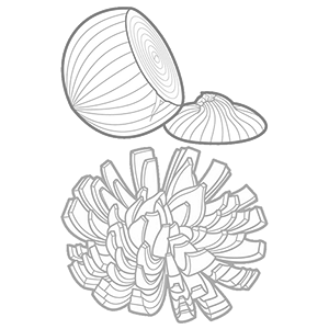 Blooming Onion