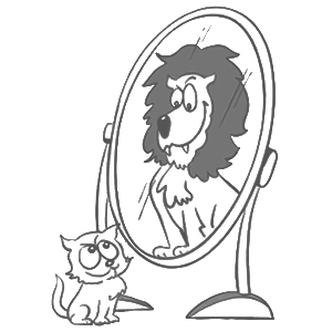 Illusory superiority Illusory superiority