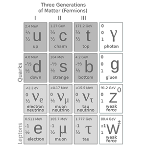 Standard Model