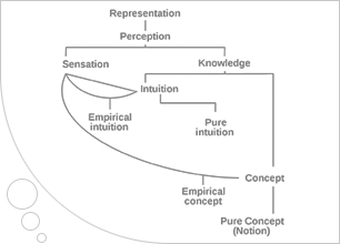 kant taxonomy