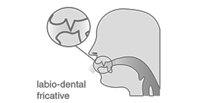 labio-dental fricative