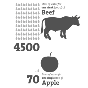 Water Footprint
