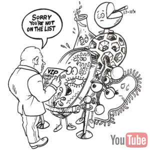 The Half-Life of Facts The Half-Life of Facts