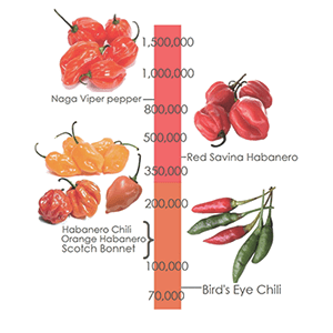 Scoville scale Scoville scale