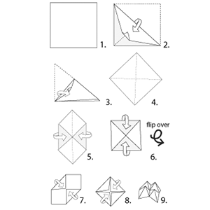 fortune teller fortune teller