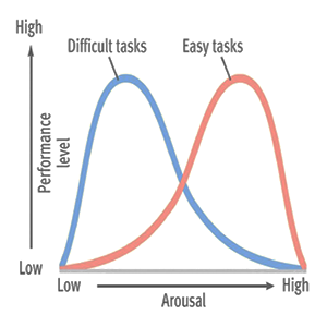 Yerkes–Dodson Law | The Daily Omnivore