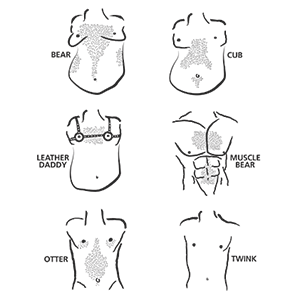bears by carey jordan