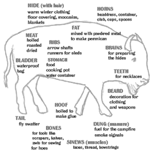 every part of the buffalo every part of the buffalo