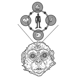 stoned ape by adahn westart